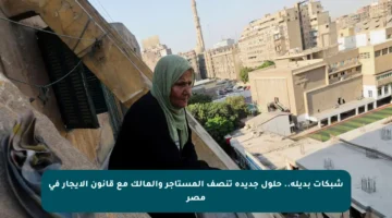 شبكات بديلة.. حلول جديدة تنصف المستأجر والمالك مع قانون الإيجار في مصر